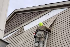 Best Vinyl Siding Installation  in Lampasas, TX